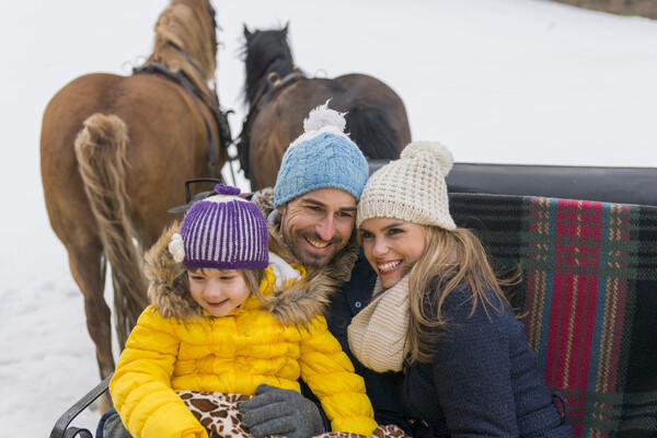   Horse-drawn sleigh ride